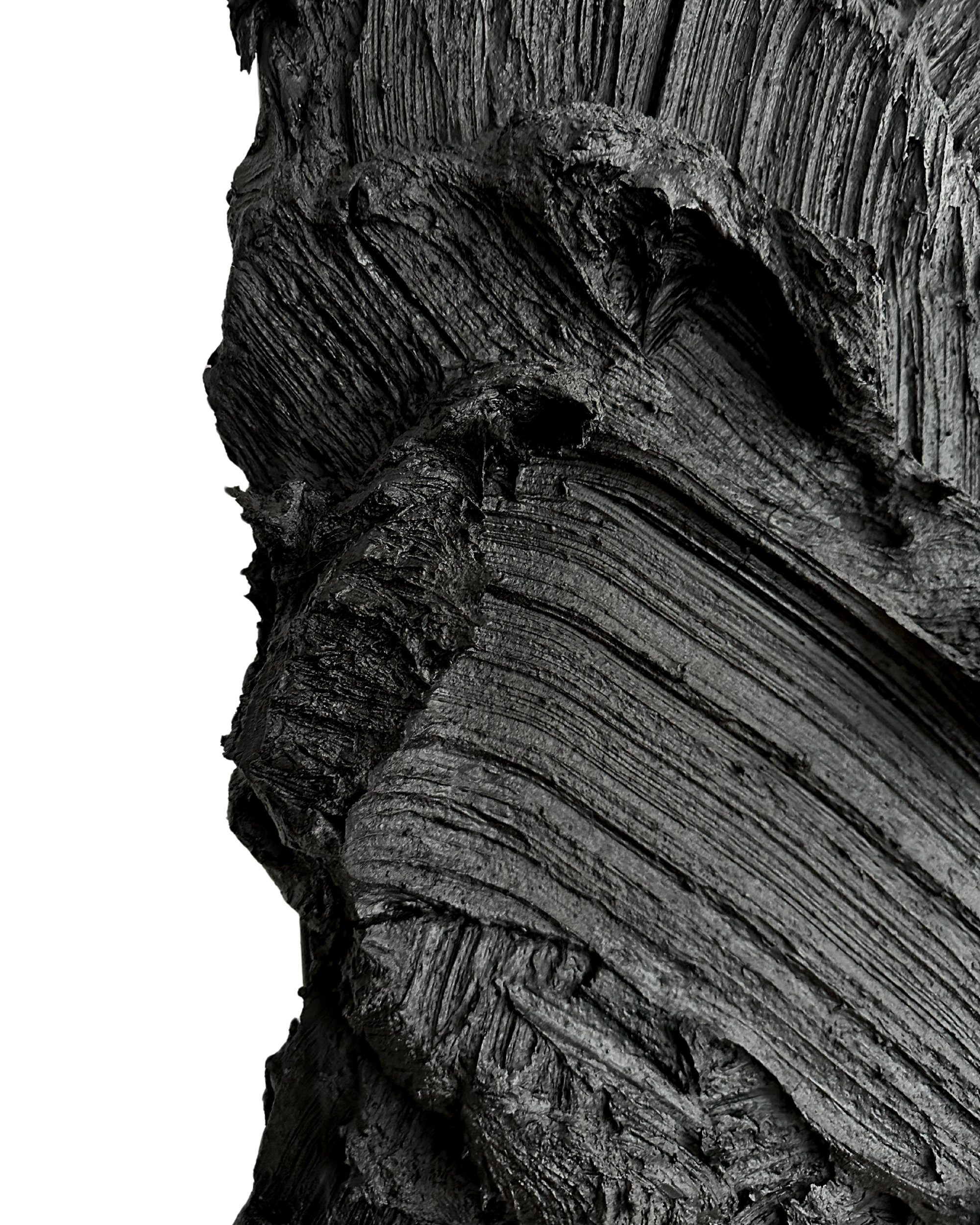 Bold Series - Black - 40x50cm – Florencia Rojas